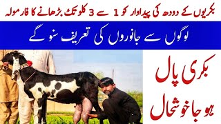 Goat Milk Increase Medicine Bakri Ka Doodh Badhane Ka Tarika Bakri Ka Doodh Barhane Ka Tarika