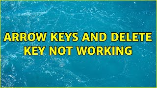 Celebrity Ubuntu: Arrow keys and delete key not working Profile