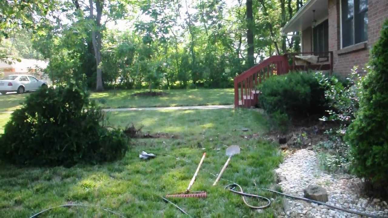 Redneck Landscaping How to remove bushes without digging YouTube