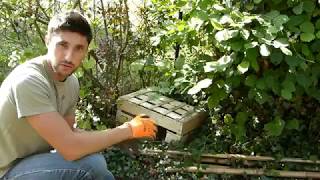 Accueillir la biodiversité dans son jardin_DIY2 : Un abri à Hérisson