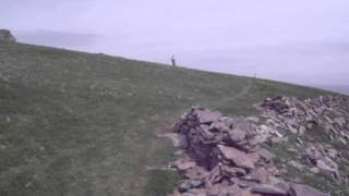 Video Diary: Cradle Holm Wildlife, Isle of Noss
