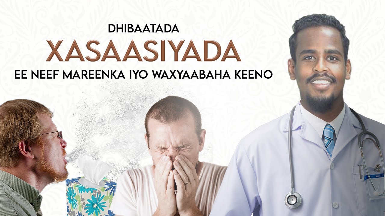 XASAASIYADA-DHIBAATADA XASAASIYADA  NEEFMAREENKA IYO WAXYAABAHA KEENO