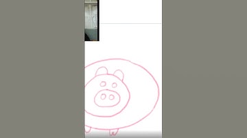How to Draw A Pig Song