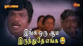 இங்க ஒரு ஆம இருந்துதே எங்க😂 | Nattamai  Movie Scene | Sarathkumar | Meena | Goundamani | Sun Life