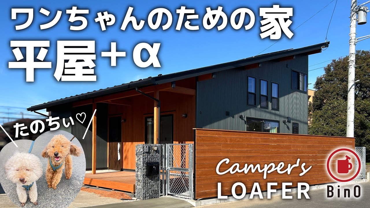 すべての動画