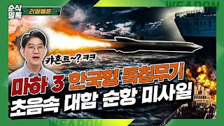 마하3 한국형 독침무기 [초음속 대함 순항미사일] | 대한민국 미사일 특집②★리얼웨폰110-순삭밀톡