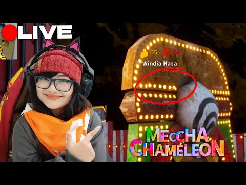 Spot ngumpet terbaikku di Meccha Chameleon sejauh ini [LIVE]