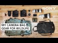 Gambar cover What's in My Camera Bag 2020: Wildlife Photography Gear | Colby Brown | Sony Alpha