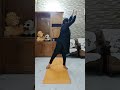 Jaldi Pet kam karne ki Simple & Effective Exercises