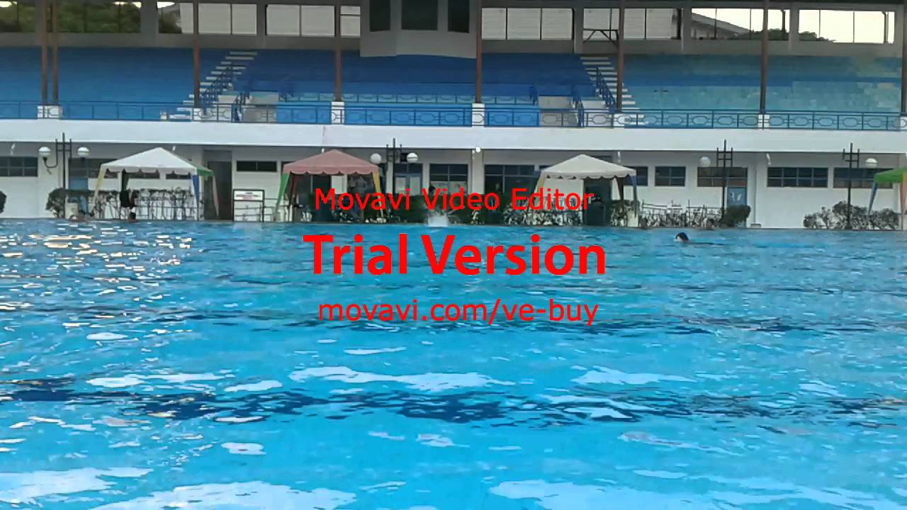 Gaya Renang Dolphin Kupu Kupu Youtube