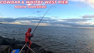 COD FISHING IN NORTH YORKSHIRE | MIXED BAG AT COW BAR AND WHITBY WEST PIER | SEA FISHING UK