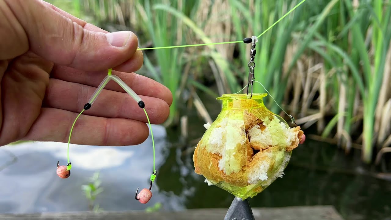 Fanggerät zum Fangen von Karpfen und Graskarpfen. YouTube