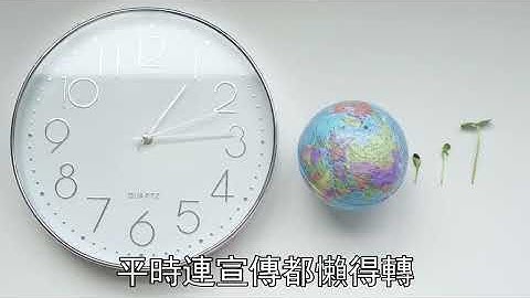 老公帶小三回家睡我的床，砸了我的古董杯說是假貨，我接通紅圈律所專線：按最高市價讓她傾家蕩產！看到天價賠償金她嚇癱了#悠然書影#爽文#大女主#家庭#豪門