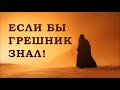 Если бы грешник знал это, то никогда не потерял бы надежду! Шейх Халид Рашид