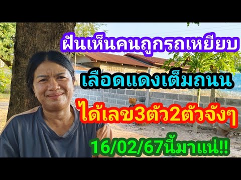 #ฝันเห็นคนถูกรถเหยียบเลือดแดงเต็มถนน ได้เลข3ตัว2ตัวจังๆ 16/02/67