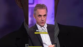 The lobster and hierarchy - Jordan Peterson