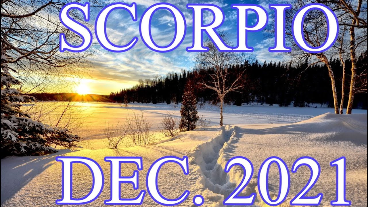 SCORPIO DECEMBER 2021 MONTHLY LOVE TAROT READING “THE UNIVERSE BRINGS YOU YOUR PERSON🌹❤️🌹❤️🌹❤️⭐️⭐️