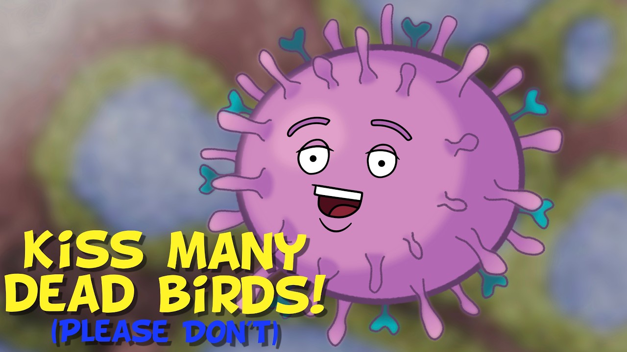 Should We Worry About Bird Flu ? I Asked The H5N1 Virus ! - YouTube