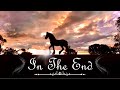In The End ♪ {Schleich Music Video}