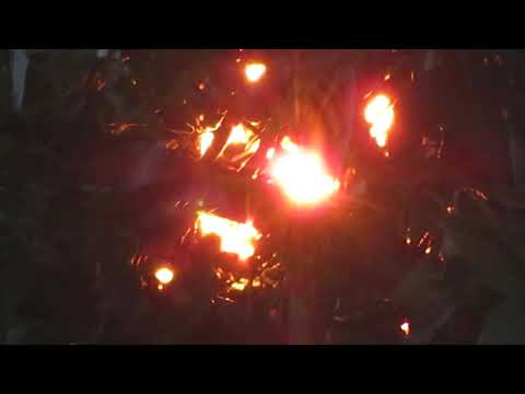 Солнце на закате 30.06.21