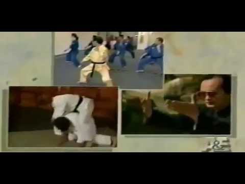 The Martial Arts