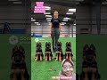 Long Hair German Shepherd K9 | Beauty, Power and Intelligence #germanshepherd #puppy #dogtraining