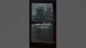 مقتطفات من سورة الرعد بصوت القارئ عبد الرحمن مسعد