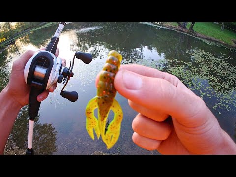 Fishing ILLEGALLY in ABANDONED Shut Down Lake for BIG Bass (COPS CALLED?)