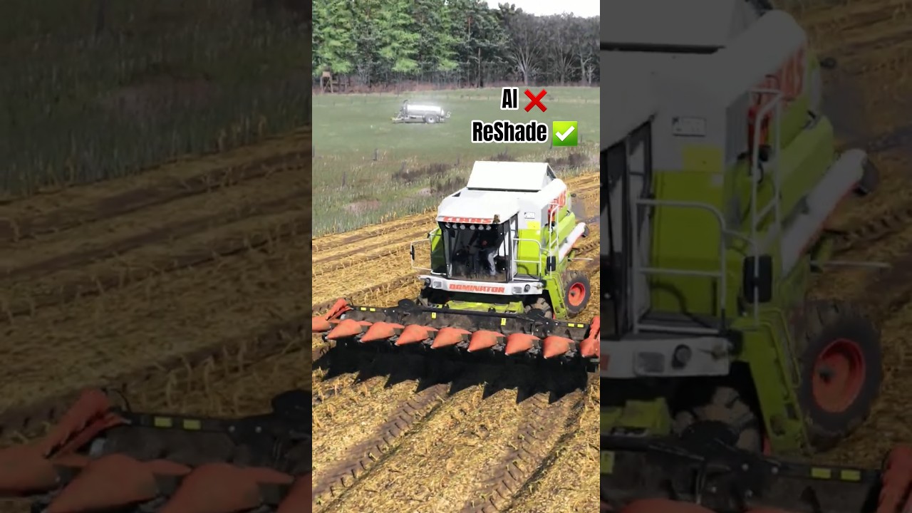 Claas Dominator @Corn harvest 