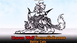 Ururun Wolf ใครเจอเป็นต้องถอย Battle Cats