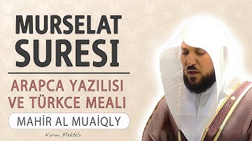 Murselat suresi anlamı dinle Mahir al Muaiqly (Murselat suresi arapça yazılışı okunuşu ve meali)
