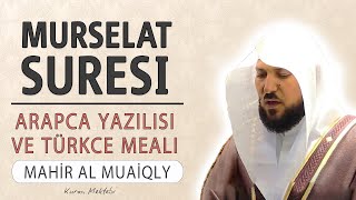 Murselat suresi anlamı dinle Mahir al Muaiqly (Murselat suresi arapça yazılışı okunuşu ve meali)