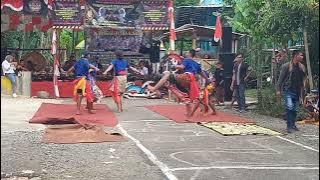 Detik detik ebeg TURONGGO PUTRA KINASIH di jantur//pesurungan karangkemiri kec kemangkon PBG 