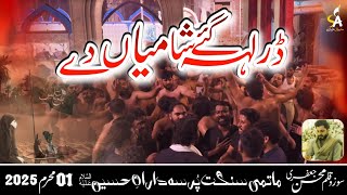 𝗗𝗮𝗿 𝗟𝗲𝗵 𝗚𝗮𝗲 𝗦𝗵𝗮𝗺𝗶𝘆𝗮𝗻 𝗗𝗲 | PDH | New Noha | 1st Muharam | 2025 | Bibi zainab | Mola Abbas | HD