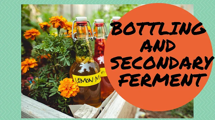 Booch Chronicles - Part Two - Bottling & Second Fe...