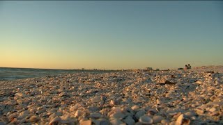 Hidden dangers loom in sand along Fort Myers Beach