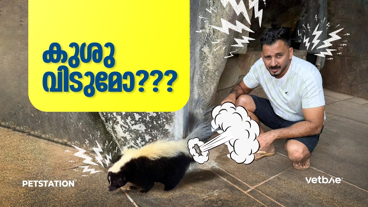 കുശു വീരനെ കുളിപ്പിക്കാനുള്ള പ്ലാൻ stink ചെയ്യുമോ ?പുതിയ ഡോഗ് വന്നു പേര് Rolex 🔥