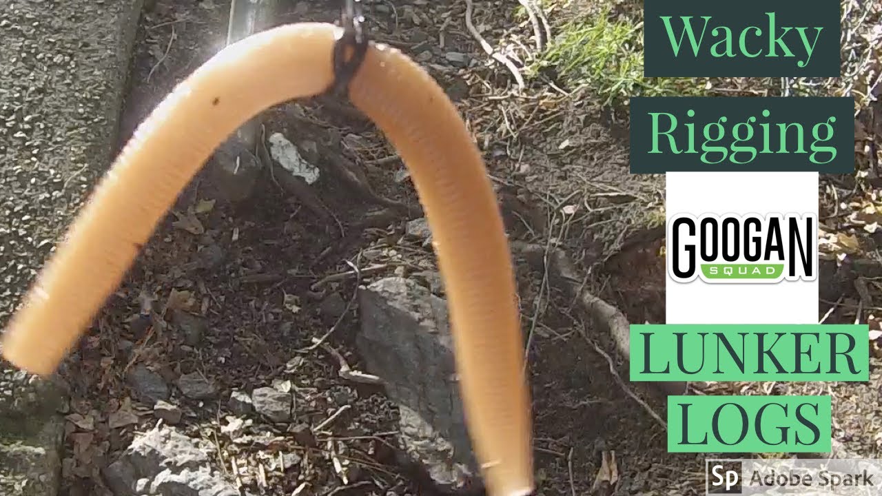 How To Wacky Rig GOOGAN SQUAD Lunker Logs! 