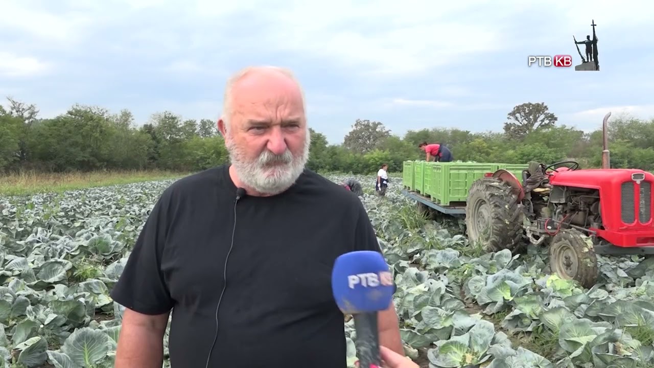 RTV KV U vr' sovre 06 Kiseli Kupus