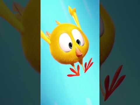 It's kinda hot! #chicky | Chicky Cartoon in English for kids
