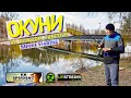 ОКУНИ НА КАЖДОМ ЗАБРОСЕ (Street Fishing в Харькове)