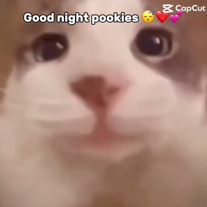 Good night guys sweet dreams ❤️💕🩷 #night #goodnight