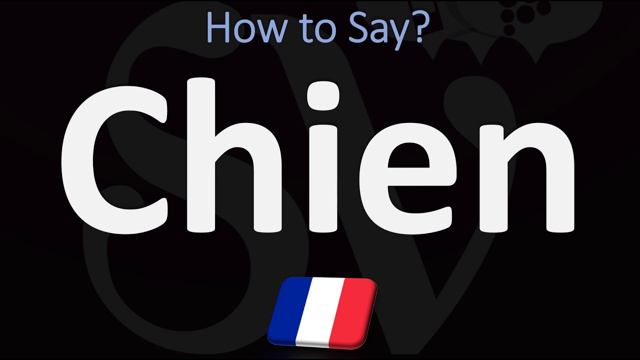 How To Pronounce Chien In French