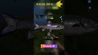 Rare Kara Sazan Avı 🎶💥✨| Rf4 Şfet