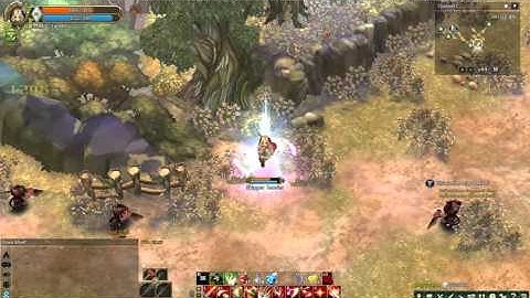 [Tree of Savior] CBT2 / BUG / Superior Main Gauche