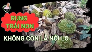 6 Nguyên Nhân Cây Trồng Bị Rụng Trái Non Khi Canh Tác Và 5 Giải Pháp Chống Rụng Trái Non
