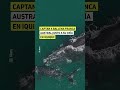 Captan ballena franca austral junto a su cría en Iquique