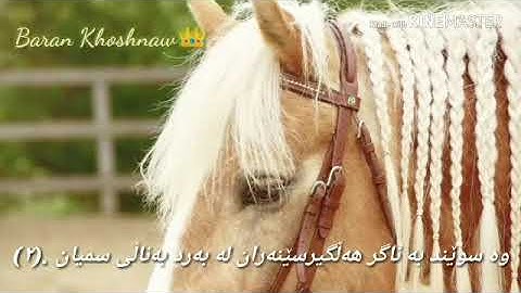 سورة العاديات❤🌺 انس البراق😍🌼🌸🕊