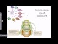 Evaluating Environmental Impact Assessments for Sustainable Project Planning