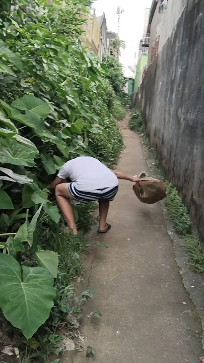 Kordapiya, what's happineng to you?#shortvedio#viral#emilymixvlog